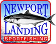 Newport Landing Sportfishing-Newport Beach-CA-92661|Boatersbook.com